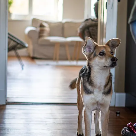 Casa vacanze Pfarrhaus *