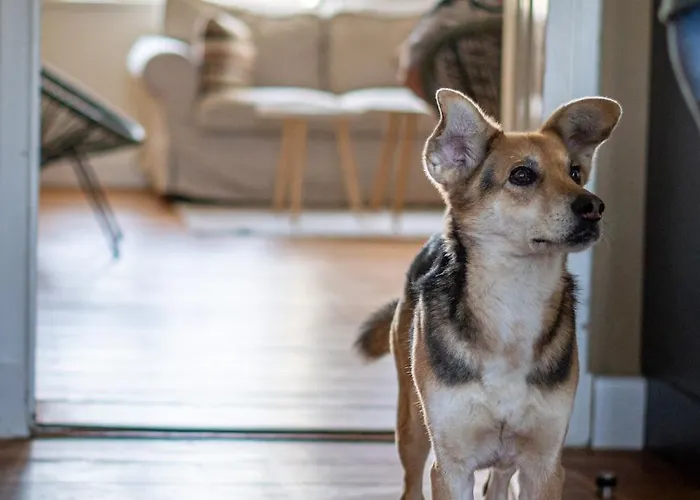 بيت للعطل Pfarrhaus *